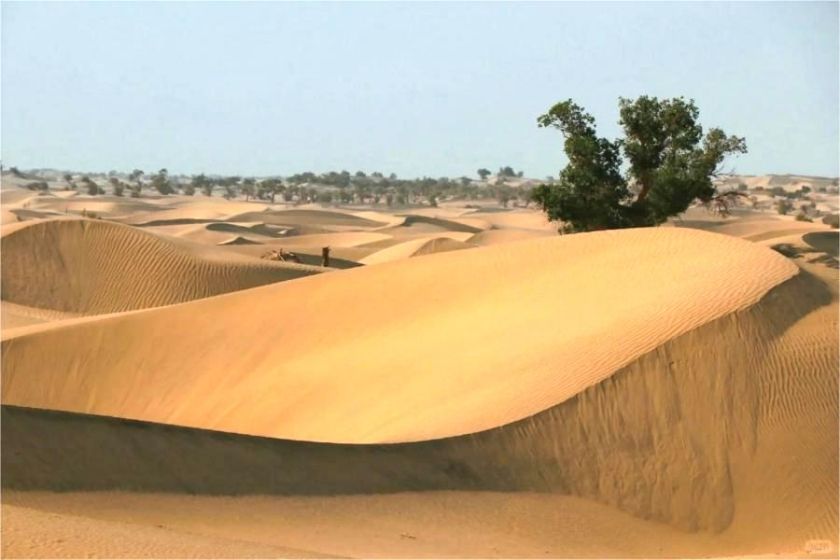 Taklamakan Desert Crossing Guide: Conquering China’s Largest Shifting Sand Sea