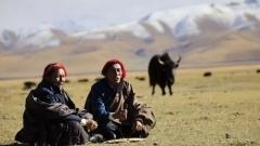 Discover Tibet Through the Lens: A Photographer's Paradise in the Himalayas