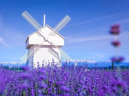 Xinjiang July–August Travel Guide: Best Summer Itinerary & Tips