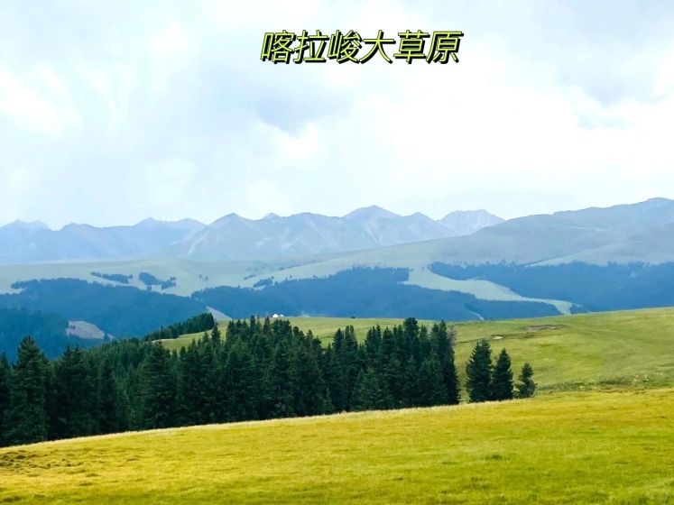 Explore Tekes Bagua City: Unique Scenery and Local Flavors in Xinjiang