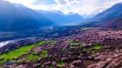 13-Day Tibet Peach Blossom Tour: Bomi, Nyingchi, Lhasa, Namtso & EBC