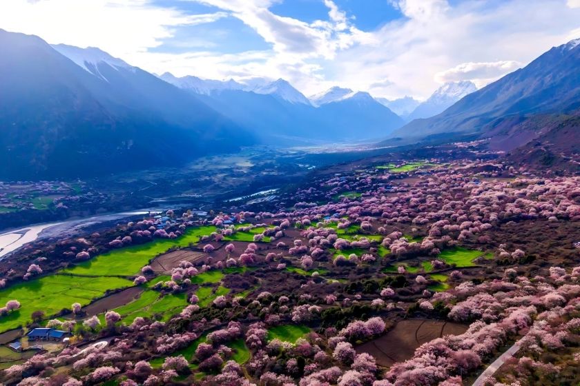 13-Day Tibet Peach Blossom Tour: Bomi, Nyingchi, Lhasa, Namtso & EBC