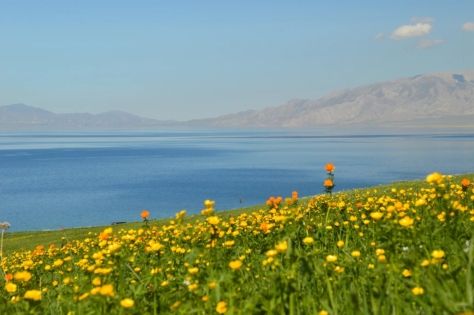 Xinjiang July–August Travel Guide: Best Summer Itinerary & Tips