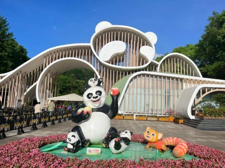 Where to Go in Dujiangyan: Complete Travel Guide Near Chengdu