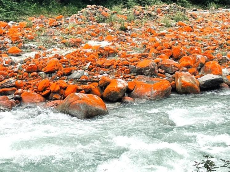 Hailuogou Glacier Travel Guide:Enjoy Hot Springs and Cable Cars