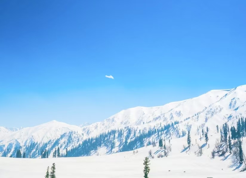 6-Day Deluxe Yunnan Tour: Lijiang , Dali, Kunming& Snow Mountains