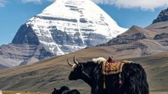 Best Time to Visit Mount Kailash: Weather, Festivals & Travel Tips