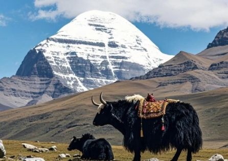 Best Time to Visit Mount Kailash: Weather, Festivals & Travel Tips