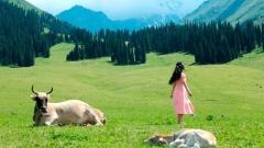 The Best Easy Xinjiang Routes for Parents: Relaxed Tours with Big Scenery and Zero Stress