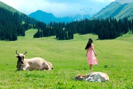 The Best Easy Xinjiang Routes for Parents: Relaxed Tours with Big Scenery and Zero Stress