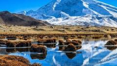 Backpacking Xinjiang: Tips for Independent Travelers