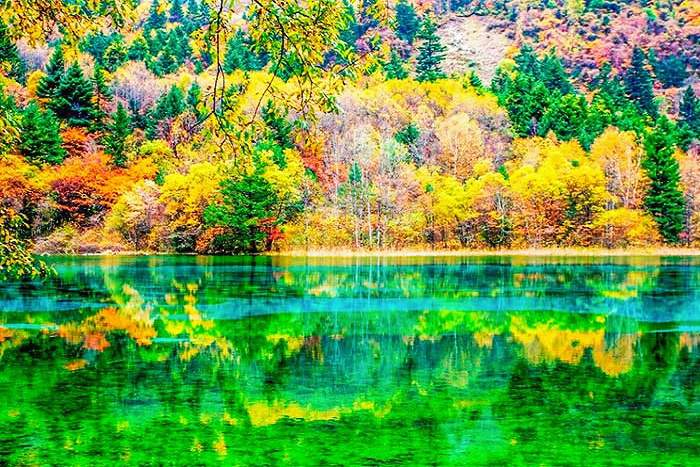 Jiuzhaigou Summer