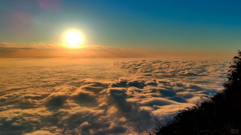 Mount Emei Height & Itinerary Guide: What to Expect at 3,099m