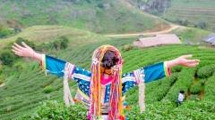 6-Day Deluxe Yunnan Tour: Lijiang , Dali, Kunming& Snow Mountains