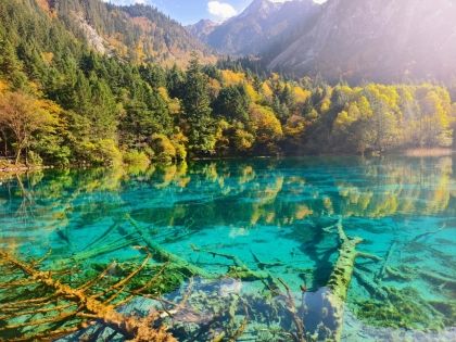Jiuzhaigou Bucket List: 6 Scenic Spots That Capture Its Magic