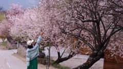 A Local's Guide to Nyingchi: Tibet's Secret Paradise