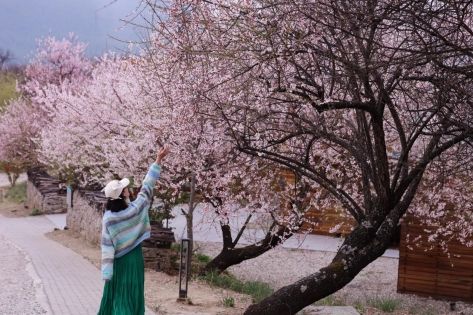A Local's Guide to Nyingchi: Tibet's Secret Paradise