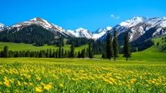 Three Must-Visit Grasslands in Xinjiang: Nalati, Bayinbuluke, and Zhaosu