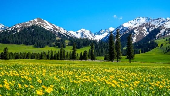 Xinjiang July–August Travel Guide: Best Summer Itinerary & Tips
