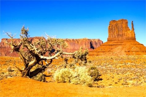 Top 10 Must-Visit Places in Southern Xinjiang: Desert, Canyons & Culture