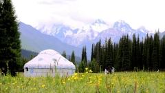 Xinjiang’s Top Hidden Destinations：Baihaba , Xiata & Anjihai Canyon