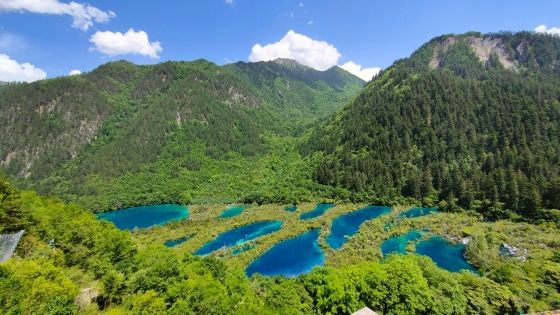 Jiuzhaigou Bucket List: 6 Scenic Spots That Capture Its Magic