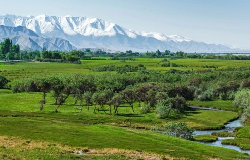 Top 6 Must-Visit Places in Xinjiang for First-Time Travelers