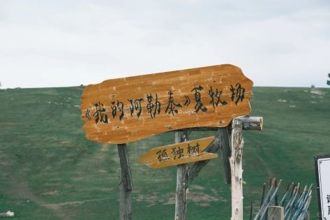 Xinjiang’s Top Hidden Destinations：Baihaba , Xiata & Anjihai Canyon
