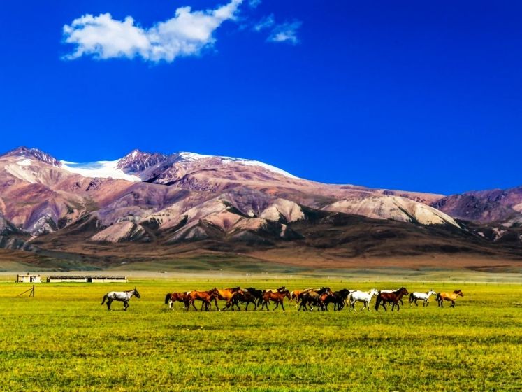 Three Must-Visit Grasslands in Xinjiang: Nalati, Bayinbuluke, and Zhaosu