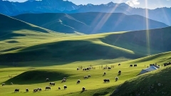 Tibet in July & August: Weather, What to Wear, and Where to Go