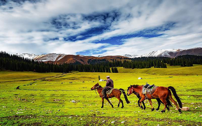 Nalati Grassland