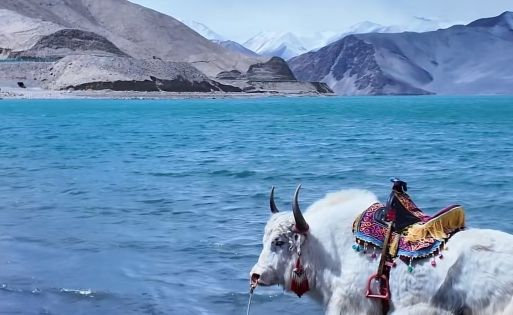 Karakul Lake Travel Guide: Mirror of the Pamirs on the Karakoram Highway