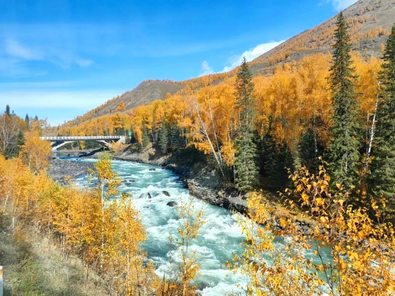 Autumn Travel to Kanas and Hemu – Northern Xinjiang’s Golden Paradise