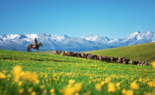 Xinjiang Weather Guide: What to Expect Each Season
