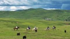 Tagong Grassland: Horse Riding and Tibetan Culture in Sichuan