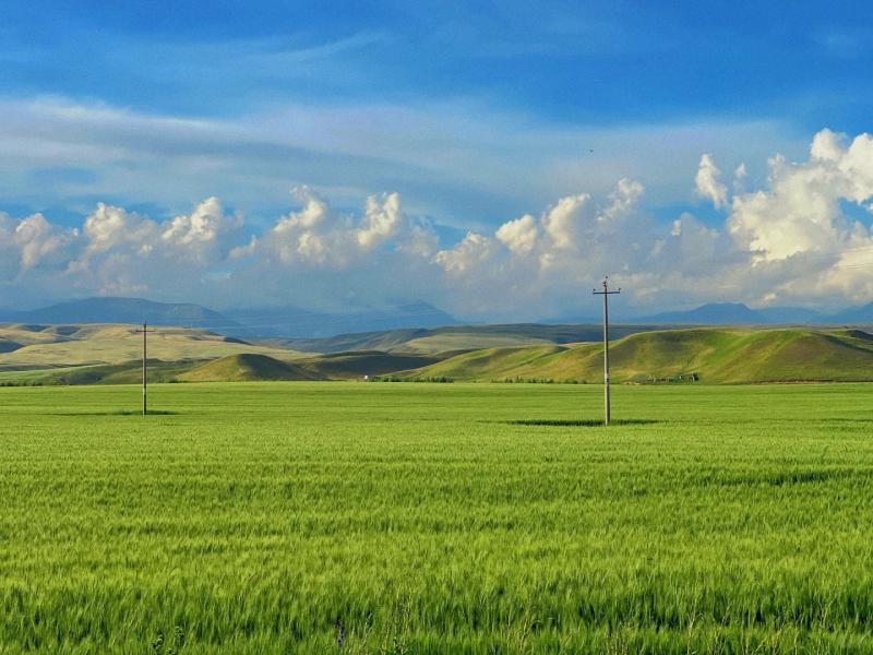 Three Must-Visit Grasslands in Xinjiang: Nalati, Bayinbuluke, and Zhaosu