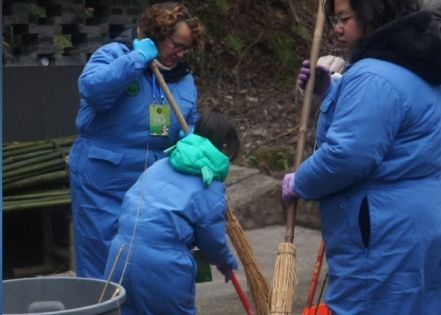 Panda Volunteer Experience in Chengdu: What You Need to Know