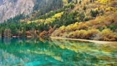 From Pandas to Peaks: An Introduction to the Best of Sichuan Province