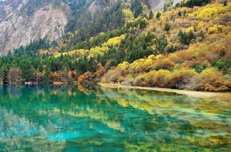 Sichuan for Nature Lovers: From Giant Buddhas to Snow-Capped Peaks