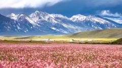 High-Altitude Travel in Sichuan: Safety and Acclimatization Guide