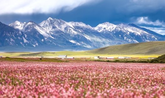 High-Altitude Travel in Sichuan: Safety and Acclimatization Guide