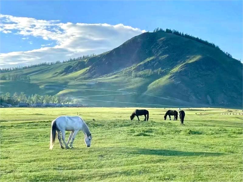 Xinduqiao & Tagong Grassland:  Explore the Photographers’ Paradise of Western Sichuan