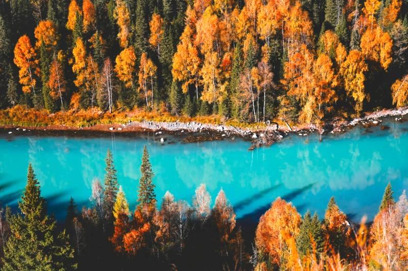 Autumn Travel to Kanas and Hemu – Northern Xinjiang’s Golden Paradise