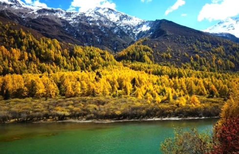 Sichuan’s Diverse Landscapes: From Snow Mountains to Bamboo Forests