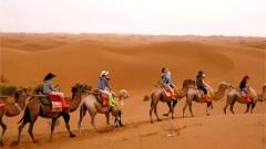 Xinjiang Camel Caravan and Desert Camping Travel Guide