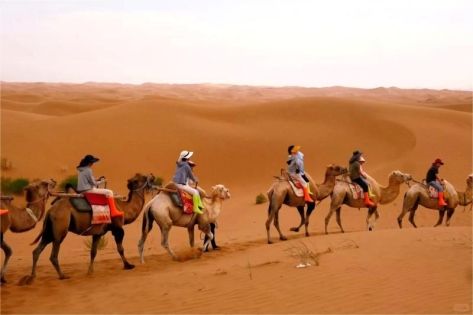 Xinjiang Camel Caravan and Desert Camping Travel Guide