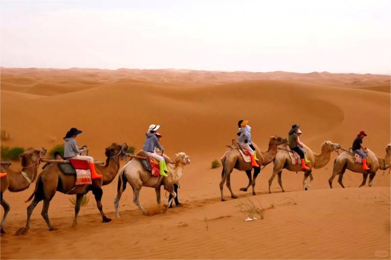 Xinjiang Camel Caravan and Desert Camping Travel Guide