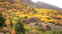 Is Eastern Tibet More Beautiful Than You Think?