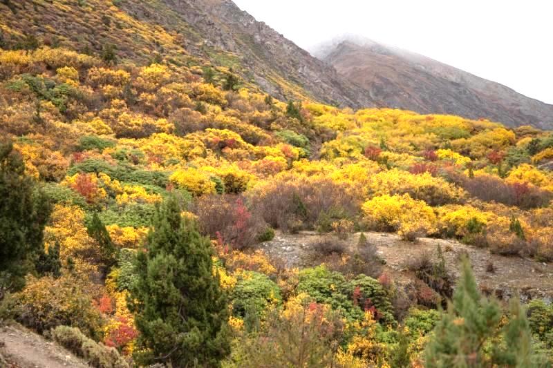 Autumn in Tibet Travel : Best Places for Photography and Sightseeing