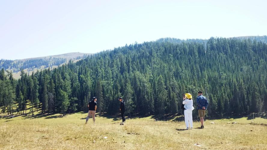 Xinjiang Free Travel Guide: A Journey Through Time and Landscape